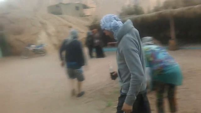 У верблюда сушняк. смотреть онлайн