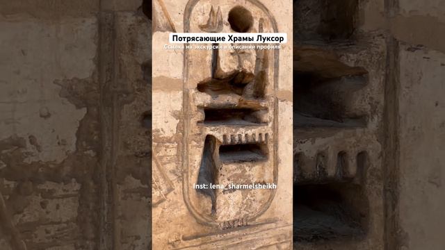 Луксор, Храм Рамзеса #экскурсиившармэльшейх