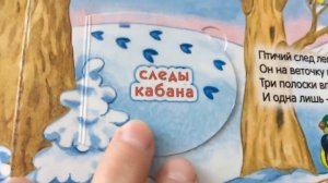 Чьи это следы петляют.. Следы животных на снегу. Книжка с окошками для детей