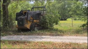 Random bush grew next to tree that's now gone | Brush Busters Land Clearing | Land Clearing Skiatoo