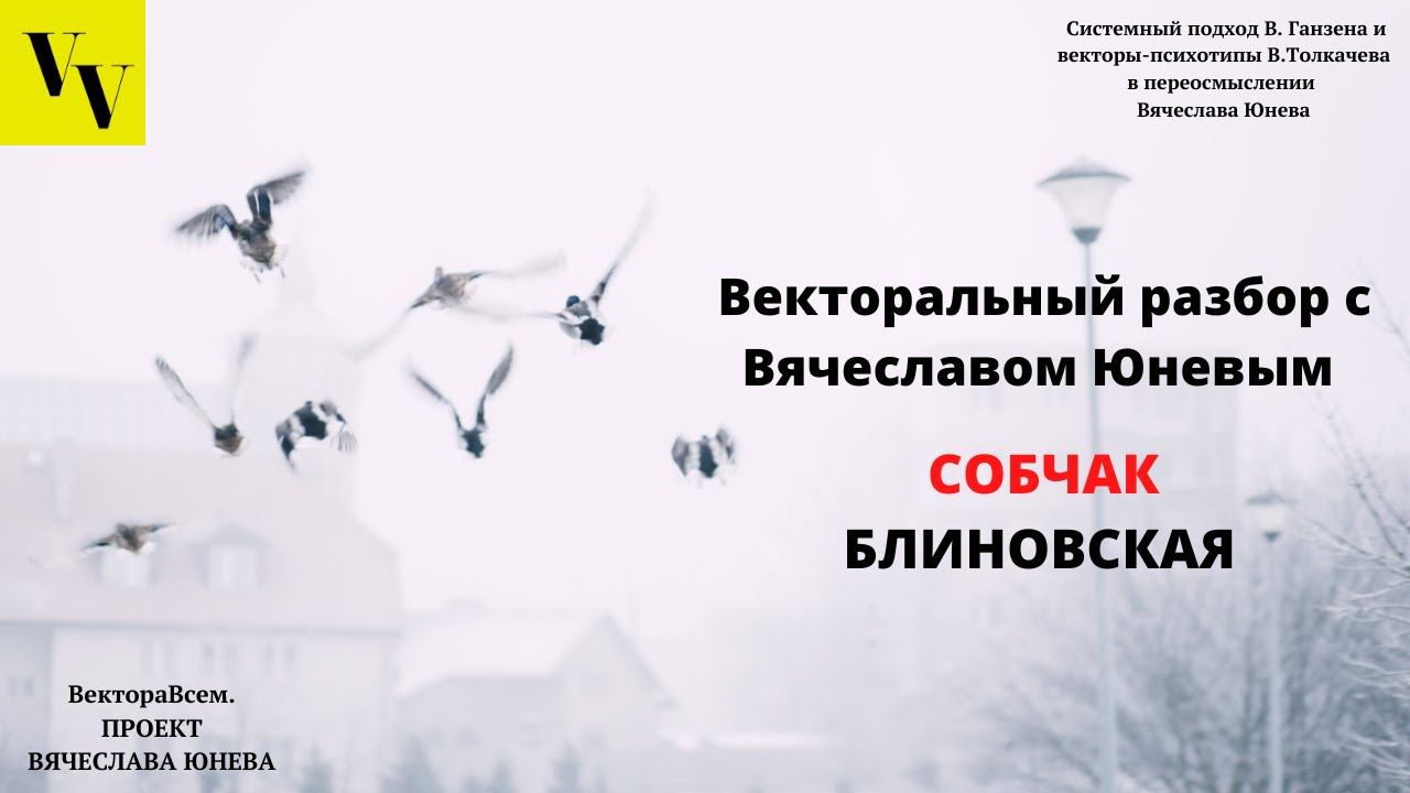 Векторальный разбор с Вячеславом Юневым | СОБЧАК | ЕЛЕНА БЛИНОВСКАЯ