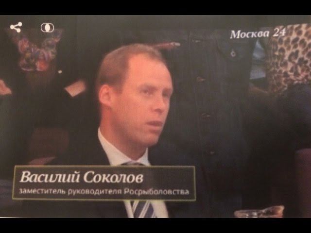 Василий Соколов в программе "Пищевая революция": Рыба