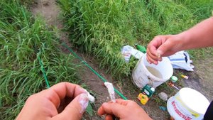 Рыбалка на донки с батей.