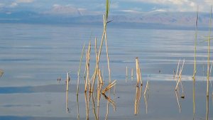 Озеро Ачит-Нур, Монголия / Lake Achit Nur, Mongolia