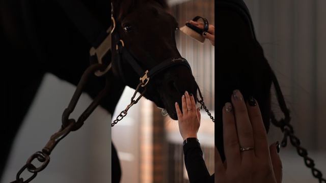 Абонент временно недоступен, попробуйте перезвонить позднее …. смотреть онлайн