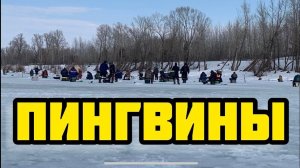 Зимняя рыбалка со льда на мормышку