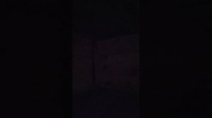 Собачья будка своими руками.