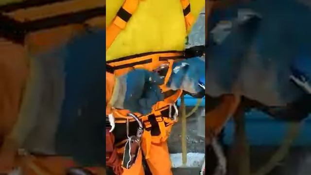 Обзор привязи для арбористики "Тополь" от КРОК