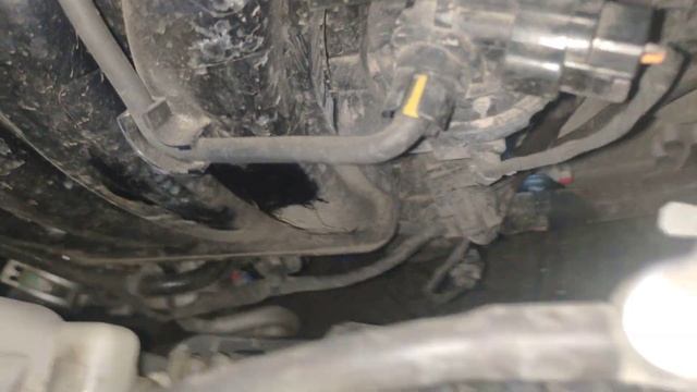 номер двигателя Киа Церато 2.0 смотреть онлайн