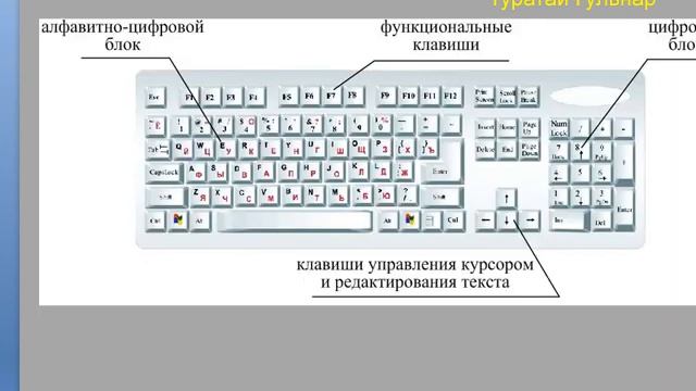 Расположение цифр на клавиатуре Урок 3. Компьютерная грамотность для пенсионеров или Как научить Маму компьютеру