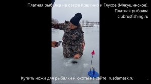 Платная рыбалка озере Кошкино и Глухое (Мякушинское). Отзыв о платной рыбалке на форель и осетра.