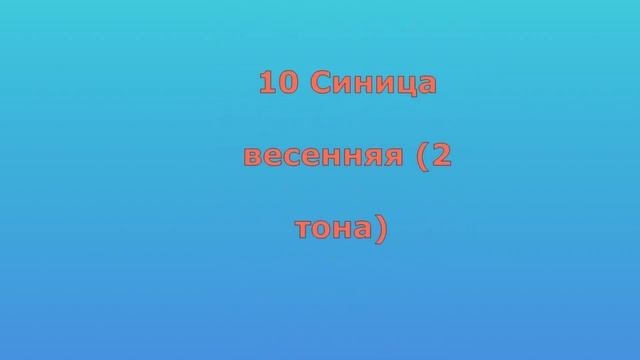 ОБУЧИ КАНАРЕЙКУ ПЕНИЮ! Уникальный трек для обучения.