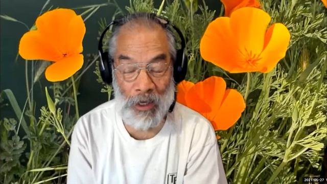 27 May 2021: Jonathan Fine: Git, content addressable store, file systems, reproducible typesetting смотреть онлайн