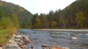 Все лимфатические узлы новорожденно здоровые Для женщин