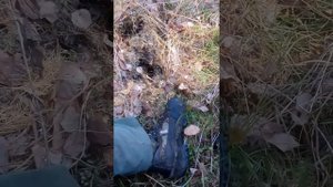 Ещё одно слово о ботинках Remington Polarzone Hanging