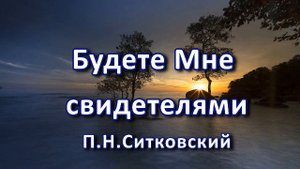 Будете Мне свидетелями. П.Н. Ситковский. Беседа. Проповедь. МСЦ ЕХБ.