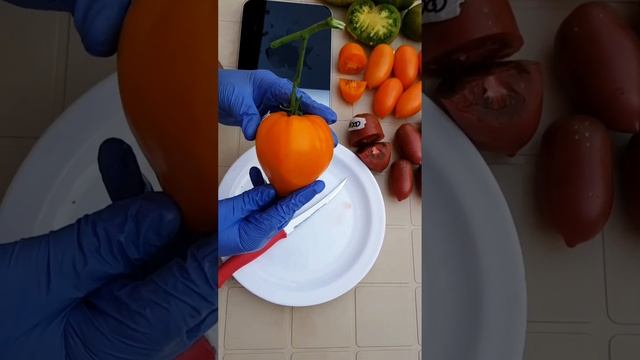 ЧУДО ЗЕМЛИ Оранжевое?
