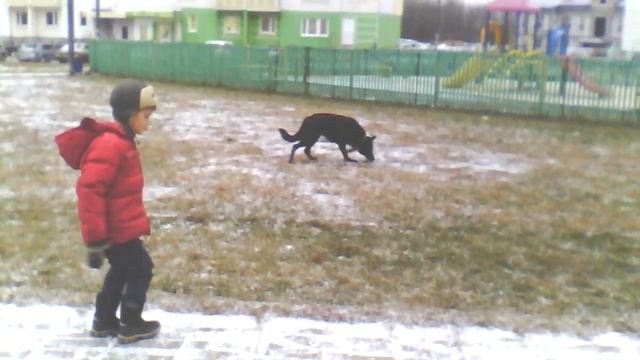 Прогулка с собакой//Часть 1