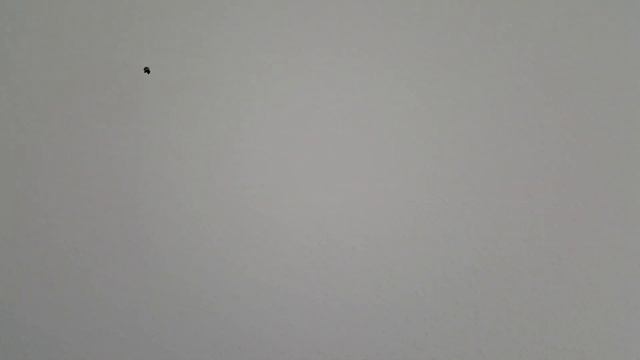 Приятные мелочи для ремонта жилья. смотреть онлайн