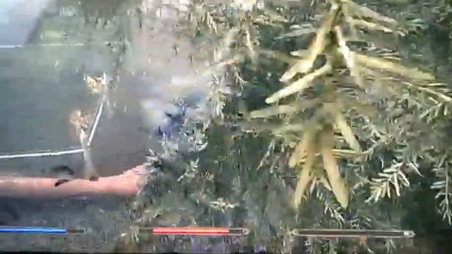 Skyrim Hearthfire DLC Revered Dragon stuck Glitch