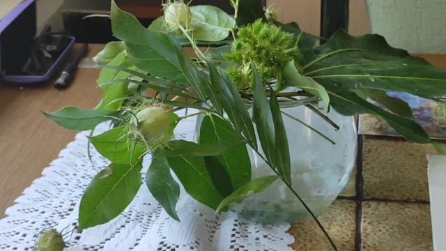 Тайная жизнь растений. Учимся рисовать растения .