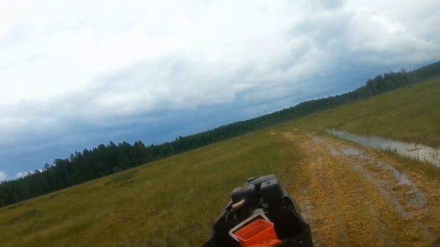мотособака в болоте