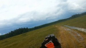 мотособака в болоте