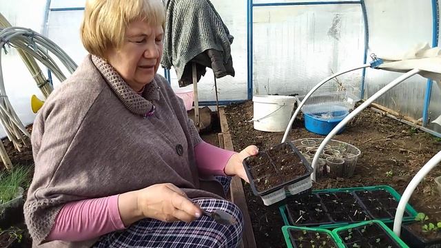 ОБЗОР ТЕПЛИЦЫ 9 АПРЕЛЯ смотреть онлайн