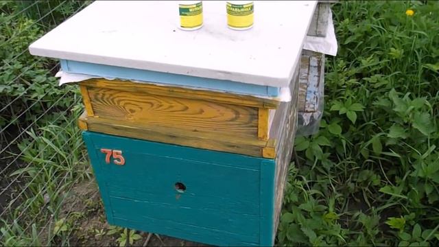 ошибки пчеловода - формирование весенних отводков - часть 4 - лекарственная обработка пчел смотреть онлайн