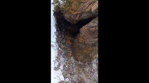 ЛОВЛЯ НОРКИ, Чисто поржать!!! Живая норка. НЕ куда не попалась... ловил руками!