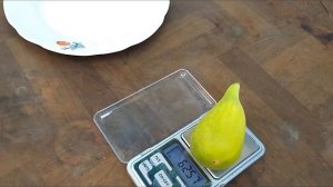 Огромный "Поморийский",сверх-ранний сорт инжира.