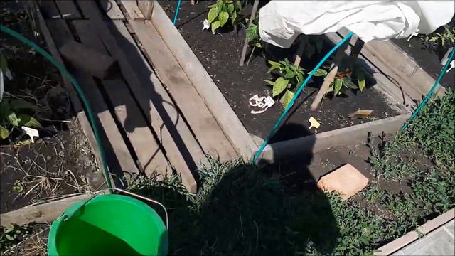 Vlog/Про мусор, школу..живём на даче..караси, привезли окна... смотреть онлайн