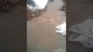 Тростянец Сумская область