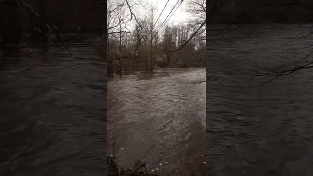 Сестрорецк, Дамба,Водосливной канал