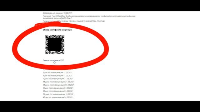 Как быстро получить QR код на госуслугах – пошаговая инструкция