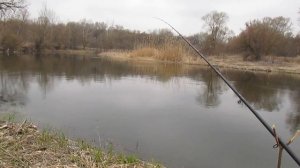 КРУПНЫЙ ГОЛАВЛЬ НА КОРКУ ХЛЕБА. Поклевки ОТДАЙ УДОЧКУ