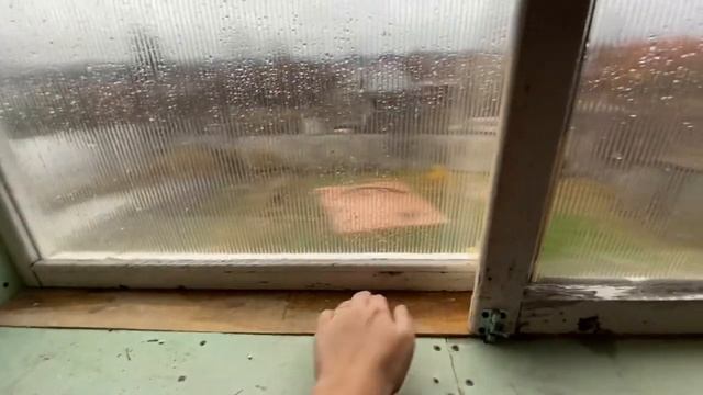 #38 Купили дачу? Пожар в СНТ? Продолжаем готовиться к зиме❄️ смотреть онлайн