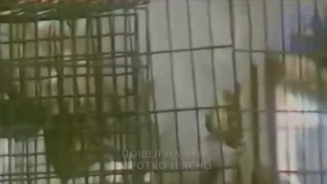 ЕКАТЕРИНА  bonus - это тебе