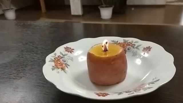 Свеча из картофеля которая будет гореть целый день.
