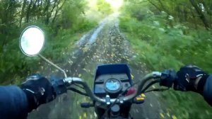 Зид Пилот 50 2т Запуск после 2-х лет простоя