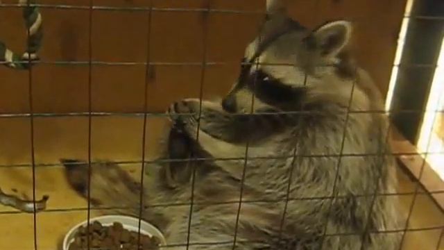 Хрустим смотреть онлайн