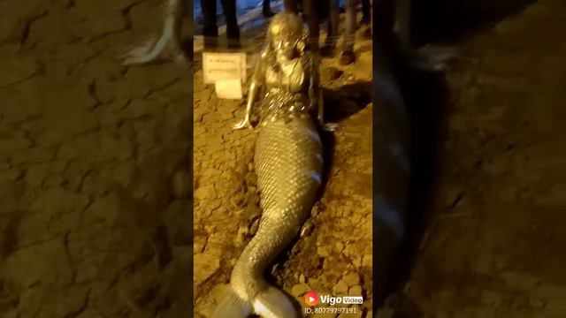 Real jalpari in India|| Vigo video