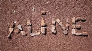 Yamaha Psr s910 Korg Pa600 Aline   De Fonne