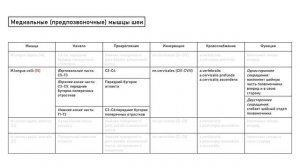 Миология. Мышцы шеи