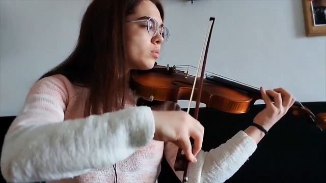MountBlade: Bannerlord OST:Aserais TavernViolin Cover