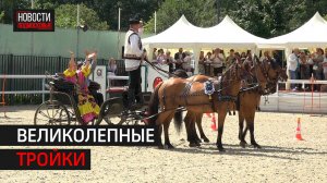 Четвертый чемпионат «Крылатое сердце России» прошел в Горках-10 // 360 Одинцово