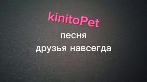 Гинтер песня KinitoPet