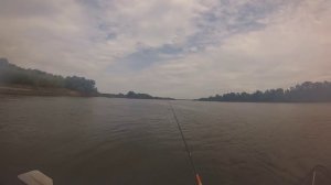 Рыбалка на джиг на щуку на протоках Оби в августе...