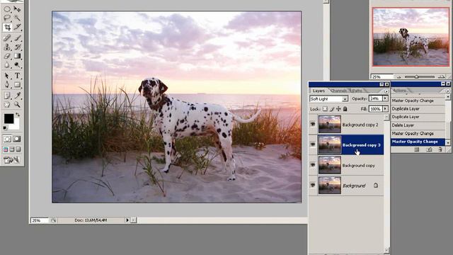 Фотошоп - Далматин.