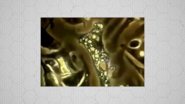 ГМО выходят на новый уровень Какие возможности открывает редактирование генома смотреть онлайн